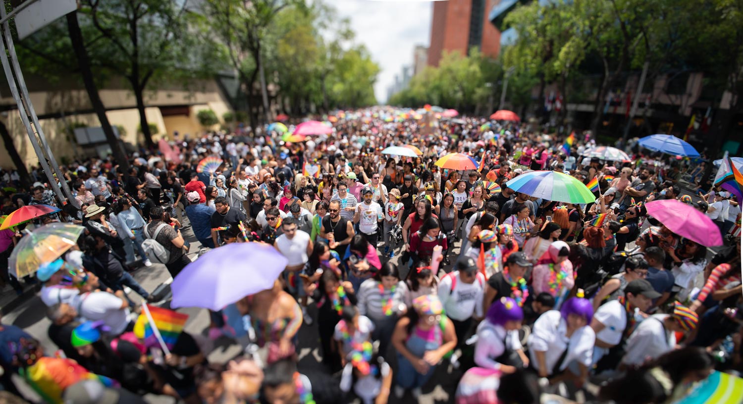 Marcha-LGBT-Mexico-2025-BG-H-07